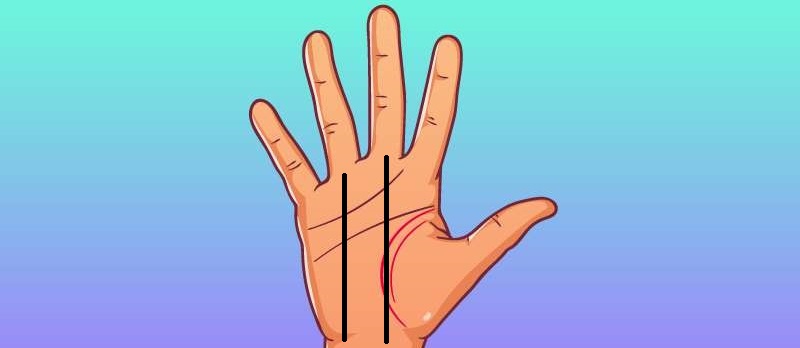 Как узнать длительность жизни по руке: обратите внимание на эти линии